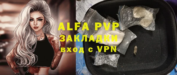 эйфоретик Алзамай