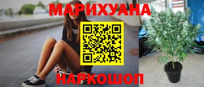 дживик Заводоуковск