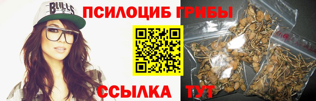 Лысьва  Псилоцибиновые грибы MAGIC MUSHROOMS  Вход с VPN 