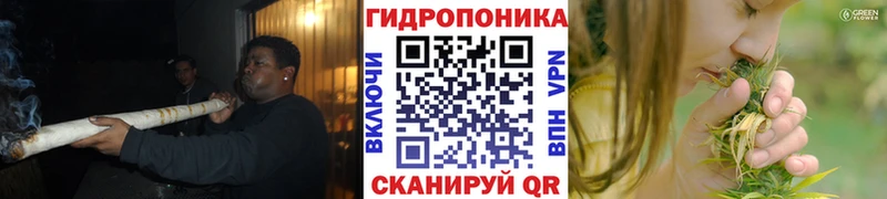 ссылка на мегу вход Лысьва Бошки Шишки сатива купить наркотик